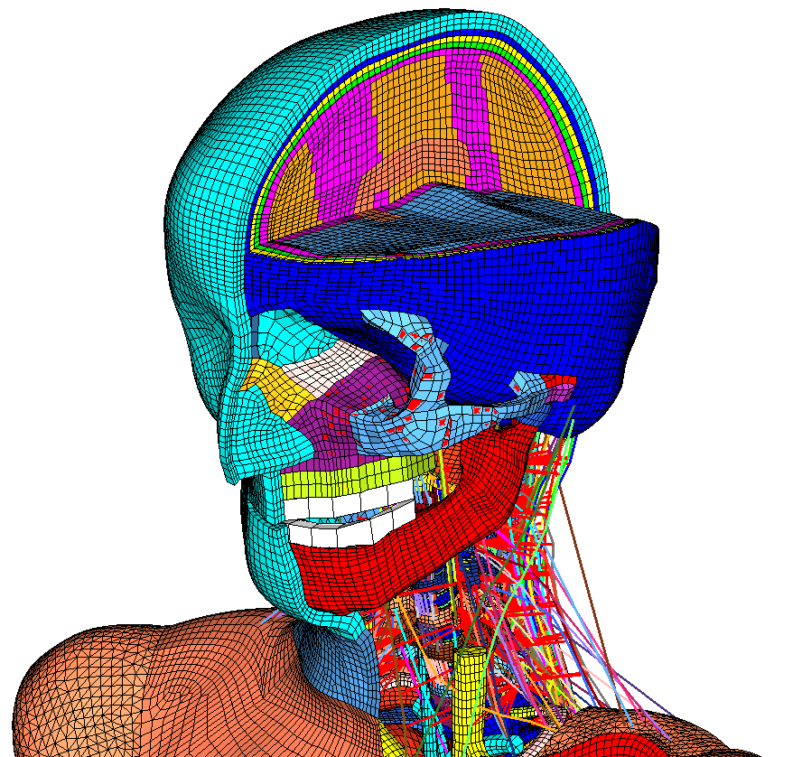 虛擬碰撞測試引入數(shù)字化假人，可助力傳統(tǒng)汽車碰撞測試發(fā)展